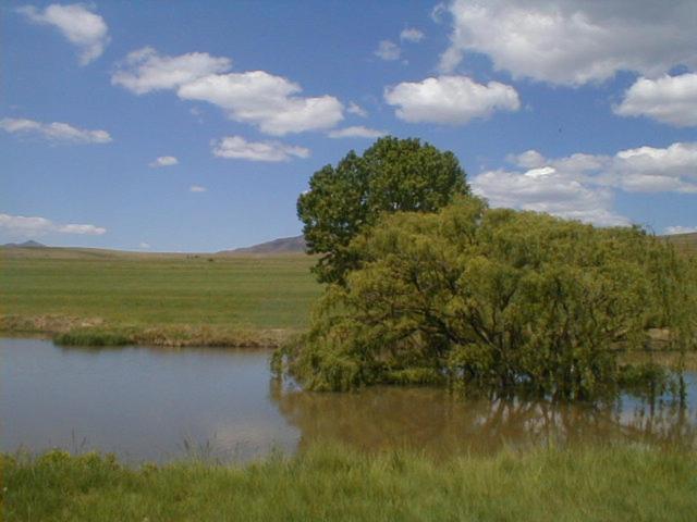 Royal Coachman Villa Clarens Exterior photo